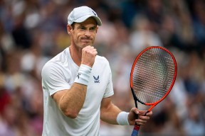 爱游戏体育-包含穆雷回归赛场，回归赛场首场状态亮眼，独行侠观众沸腾！的词条