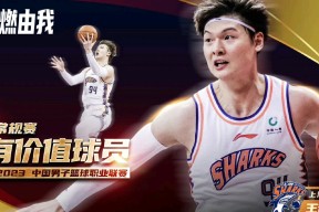 AYX- 巴特勒经典比赛 